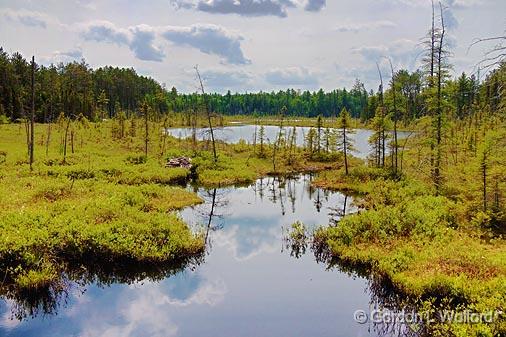 Northeastern Ontario Marsh_00873.jpg - Photographed near Deux Rivieres, Ontario, Canada.